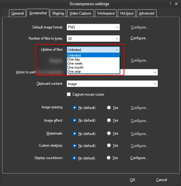 Lifetime of files setting