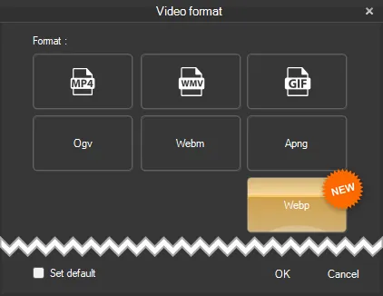 Webp animated file format